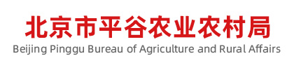 北京市平谷农业农村局